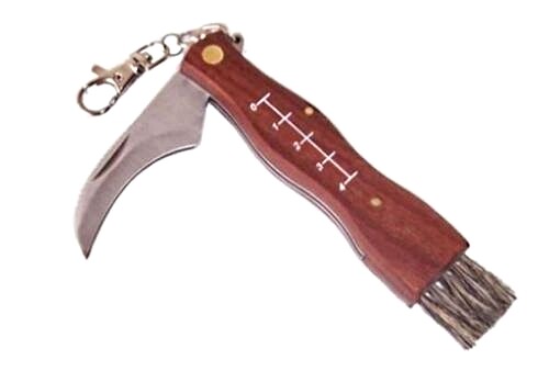 Coltello coltellino - coltello/coltellino, a